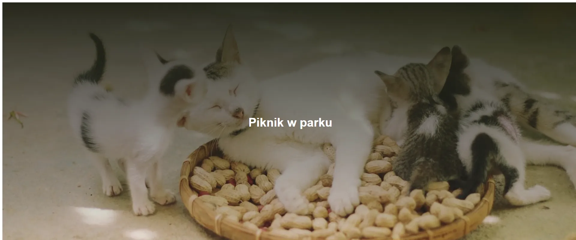 Piknik w parku